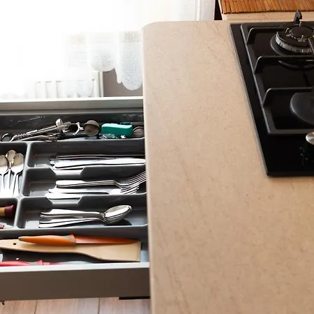 Lion King L21 Apartment Lviv